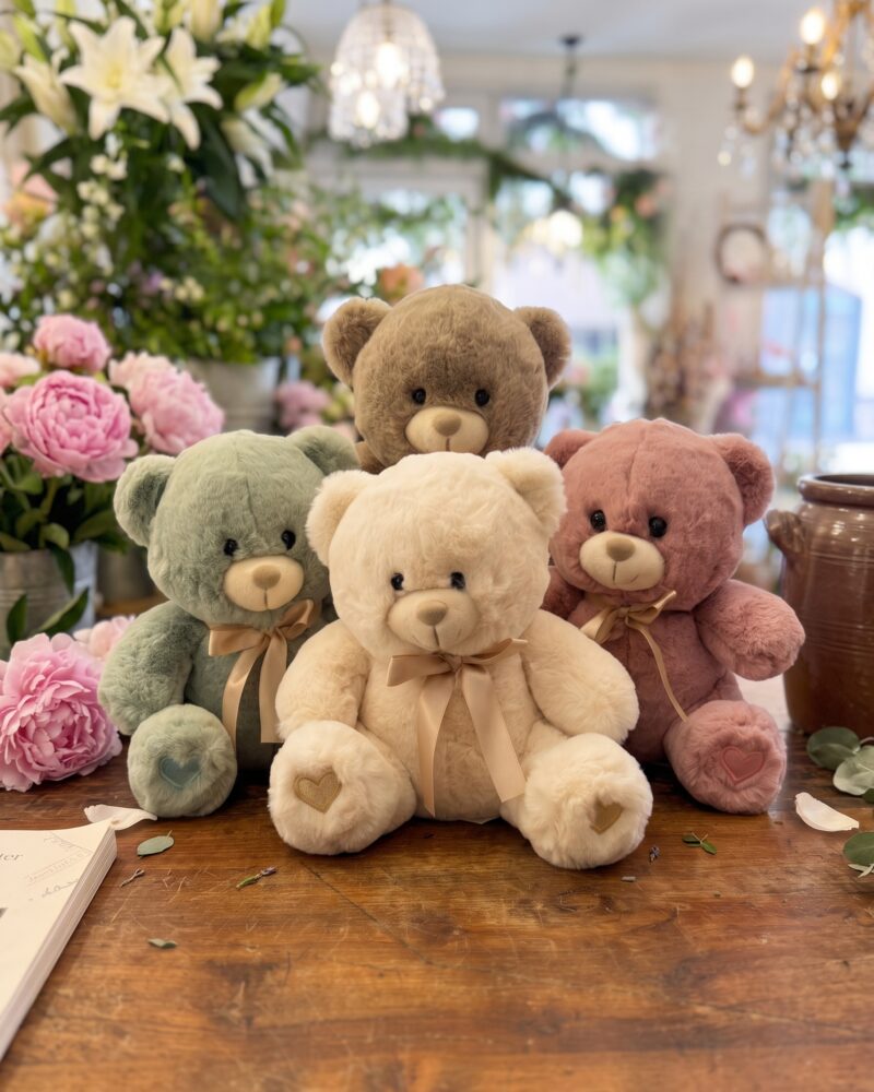 Ours en peluche